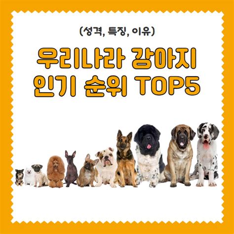 Zooskool Animal Sex Porn Videos / 인기있는 페이지 1.